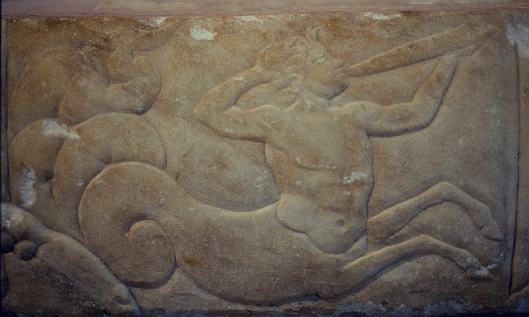 Meerzentaur - Arles / Frankreich; © J. Georg Friebe 2003